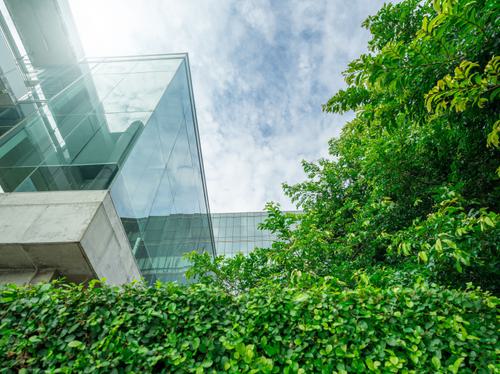 glass buildings with green trees