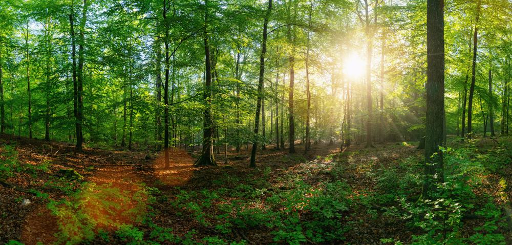 Built by Nature Frontrunners Built by Nature Frontrunners