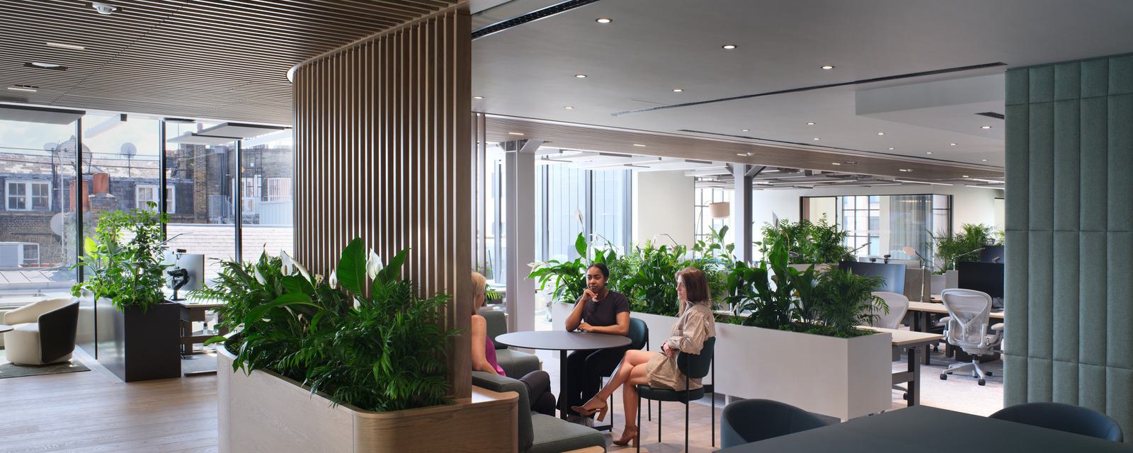 Grainhouse - office floor with planting and people sitting at table in breakout space