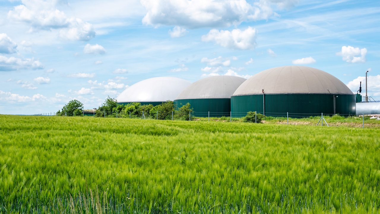 Biogas production plant with white domes in a grassy field Biogas production plant with white domes in a grassy field
