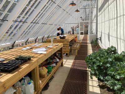 The Vinery The Vinery