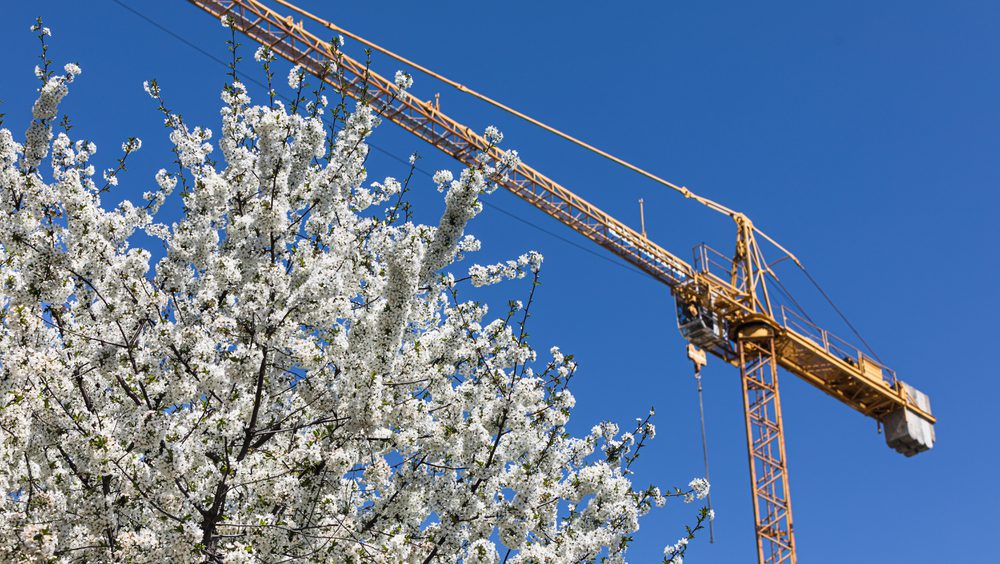 Crane against blue sky and tree with blossom