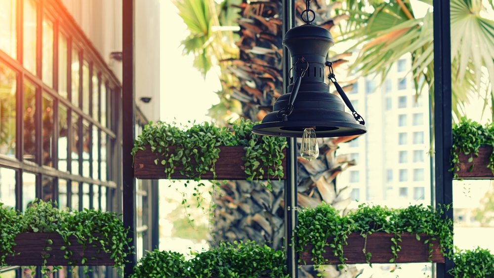 Eco architecture - hydroponic plants on the façade